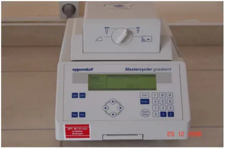Şekil 3.4.  Eppendorf marka PCR cihazı 