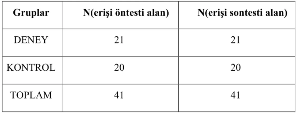 Tablo 2.2 Deneklerin Dağılımı 