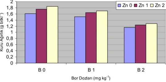 Şekil 4.9. Bor ve çinko dozlarının bodur fasulye genotiplerinin kuru ağırlık (g bitki -1 )  değerlerine etkisi 