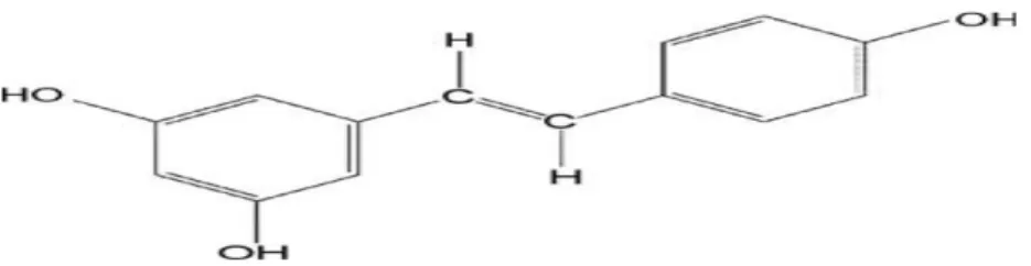 Şekil 1.3. Resveratrol’ün kimyasal yapısı (Marques ve ark 2009). 