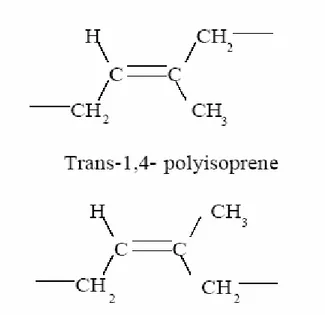 Şekil 2-3  Cis-1,4-poliisopiren 