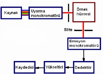 Şekil 1.9 Florometre cihazı 