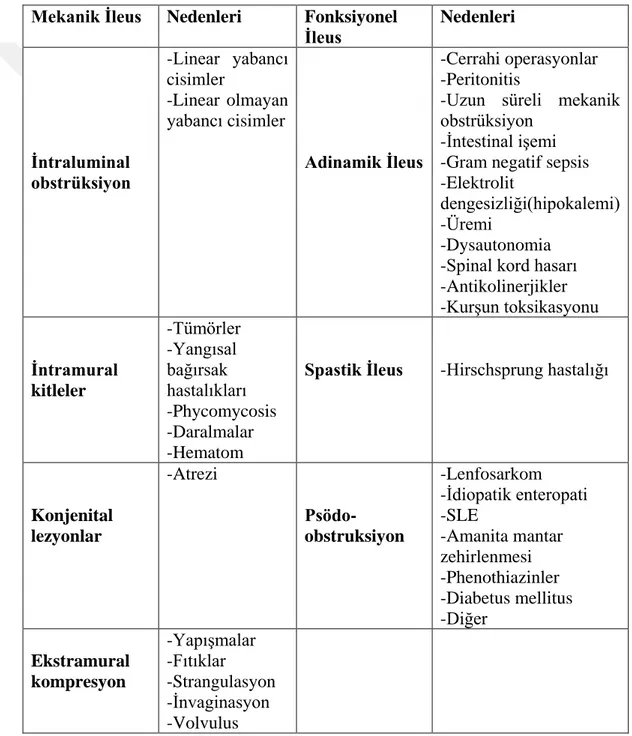 Çizelge 1.2: Veteriner Hekimlikte İleus Sınıflandırması ve Nedenleri (Turgut ve  Ok 2001)