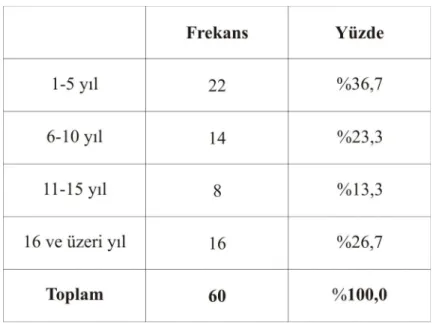 Tablo 9 : Görüşülen Kişilerin Çalışma Yılı 
