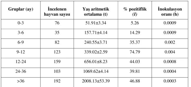 Tablo 4.5. Farklı yaş gruplarına ait sığırlarda B. bigemina’nın inokulasyon oranları 