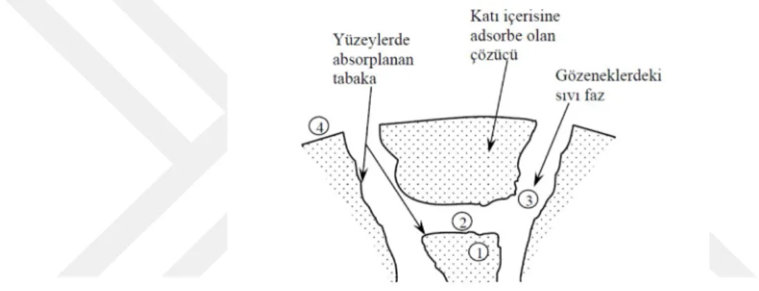Şekil 1.3. Bir adsorban taneciğinde adsorpsiyon çeşitleri (Orbak, 2009). 