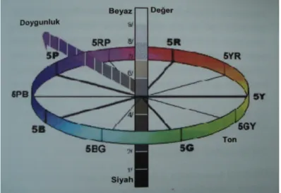 Şekil 1.1 Munsell renk diagramı  