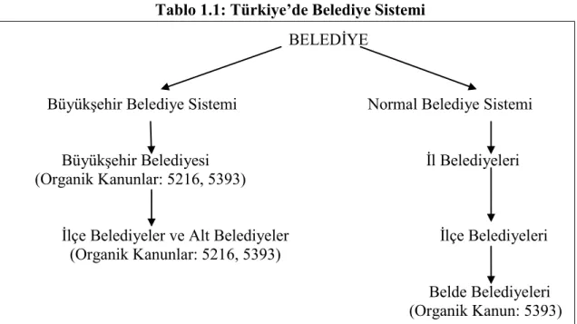 Tablo 1.1: Türkiye‟de Belediye Sistemi 