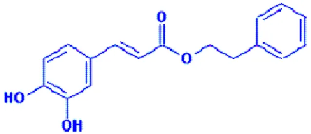 Şekil 4. CAPE’in kimyasal formülü (100). 