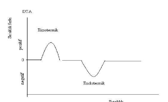 Şekil 1.3.1. DTA’da endotermik ve ekzotermik bozunma grafiği 