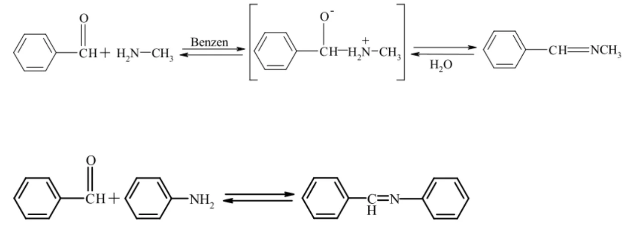 Şekil 1.2. Schiff Bazların Sentezi 