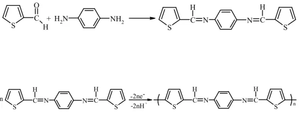 Şekil 1.4. Schiff baz polimerik yapıları 