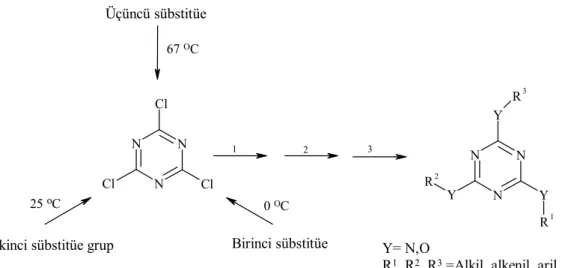 Şekil 1.14. s-Triazinlerin üç yönlü reaksiyonları. 
