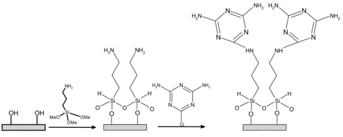 Şekil 1.15. 3-Aminopropiltrimetoksisilan ile silanlanmış, iki yönü amonyakla  kapatılmış siyanür klorür ile meydana gelen monolayer yapı