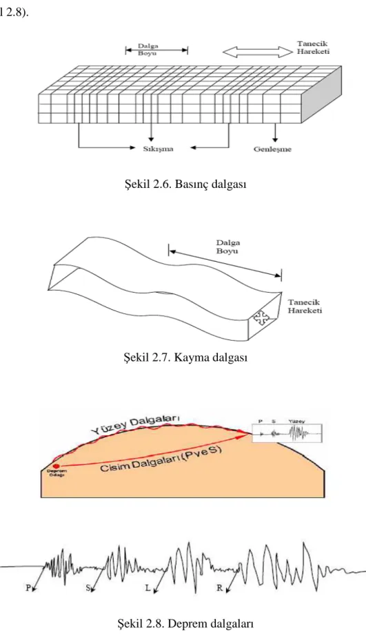 Şekil 2.6. Basınç dalgası 