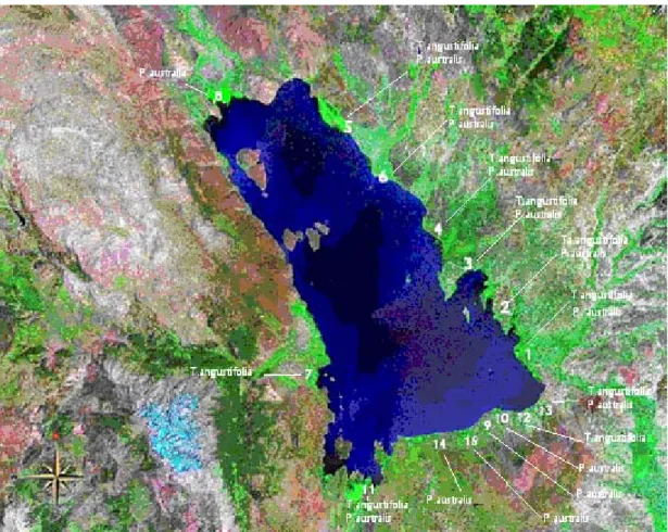 Şekil 3.2. Beyşehir Gölü uydu haritası üzerinde örnek alınan istasyonlar  (http://en.wikipedia.org/wiki/Lake_Bey%C5%9Fehir adresinden alınmış ve  uyarlanmıştır)