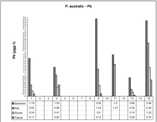 Şekil 4.1. P. australis sediment ve bitki kısımlarında Pb dağılımı.  7 ve 12 numaralı  istasyonlarda P