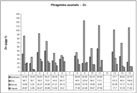 Şekil 4.3. P. australis sediment ve bitki kısımlarında Zn dağılımı. 7 ve 12 numaralı  istasyonlarda P