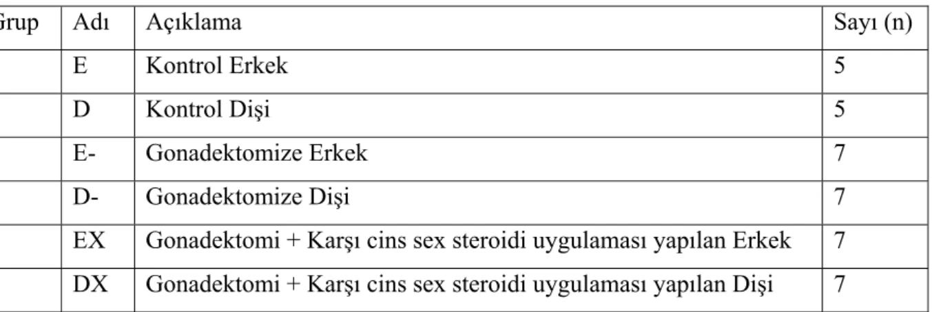 Tablo 1: Denek grupları  