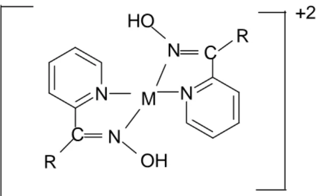 Şekil 1.13. İmin oksim ve metal kompleksi  1.4.1.4. Pridin Oksimler  