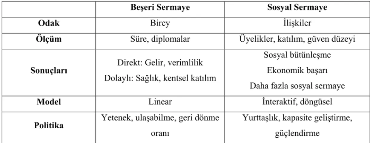 Tablo 12: Beşeri Sermayenin Sosyal Sermayeden Farklılaşan Yönleri    