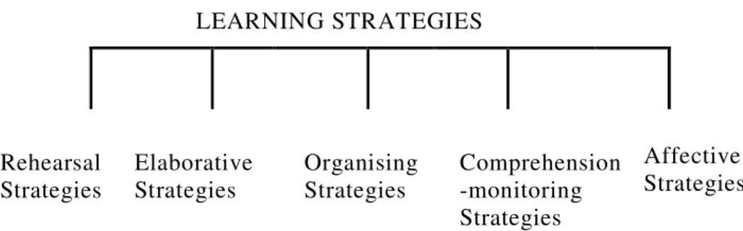 Figure 3. The Classification of Learning Strategies 