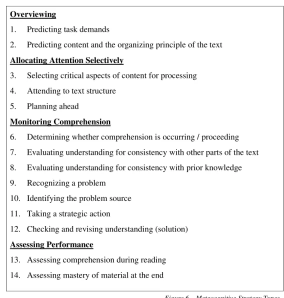 Figure 6.   Metacognitive Strategy Types 