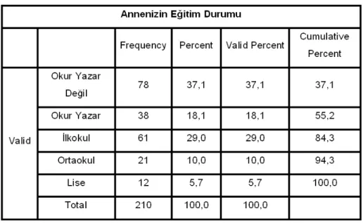 TABLO 7: Annenizin Eğitim Durumu 