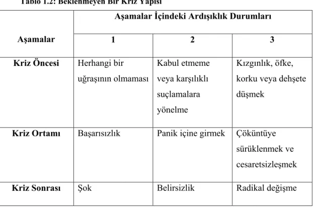 Tablo 1.2: Beklenmeyen Bir Kriz Yapısı 