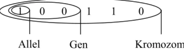 Şekil  2.1. GA‘da Kromozomun genel yapısı 1      0      0       1       1        0 