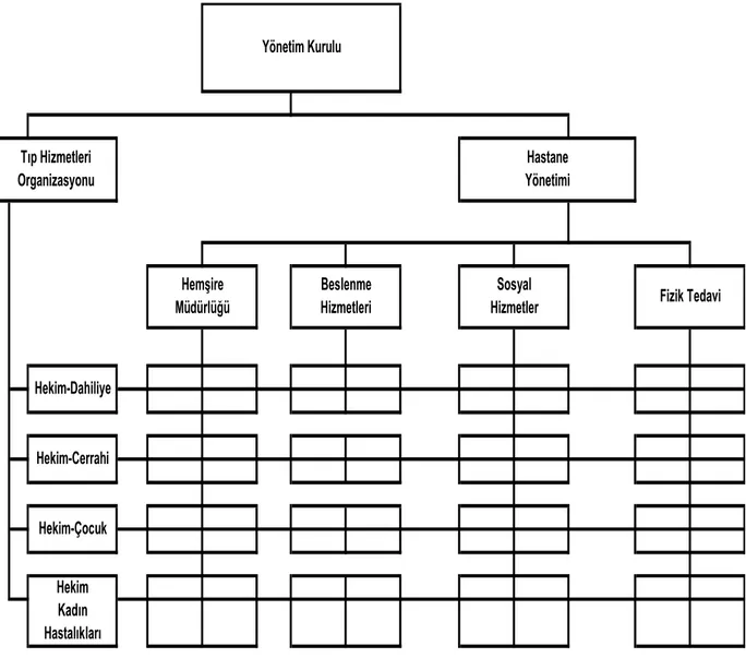 Şekil 2.2 Hastanelerde Matrix yapı Kaynak: Doğanay, 2008: 54