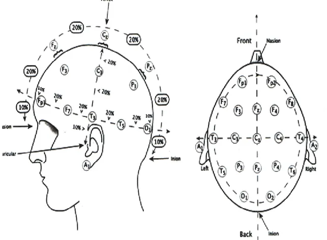 Şekil 1. Saçlı deri üzerinde  EEG elektrotların yerleşimi. 