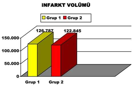 Grafik 4: İki grubun iskemi  sonrası oluşan ortalama infarkt volümü değerleri(mm 3 )  (p=0,496)  1  2  3  4  5  6  7  8  9  10 GRUP1 24