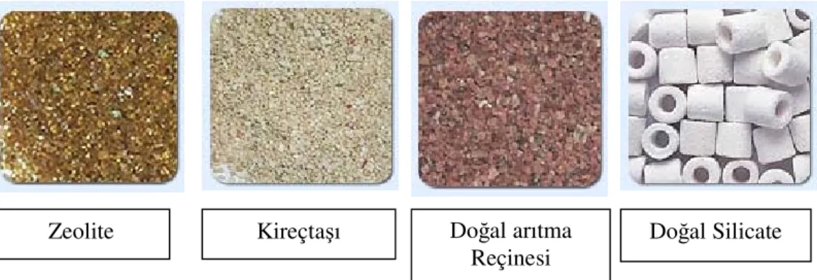 Şekil 1.1 Doğal poroz malzeme örnekleri 