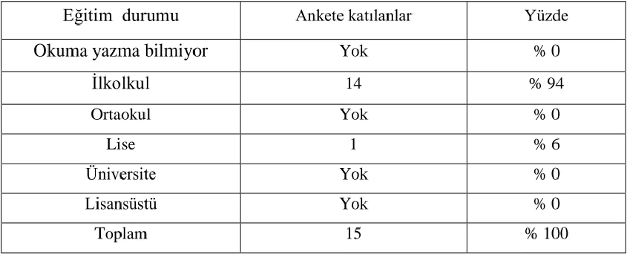 Çizelge 3.1: Ankete katılanların eğitim durumu 