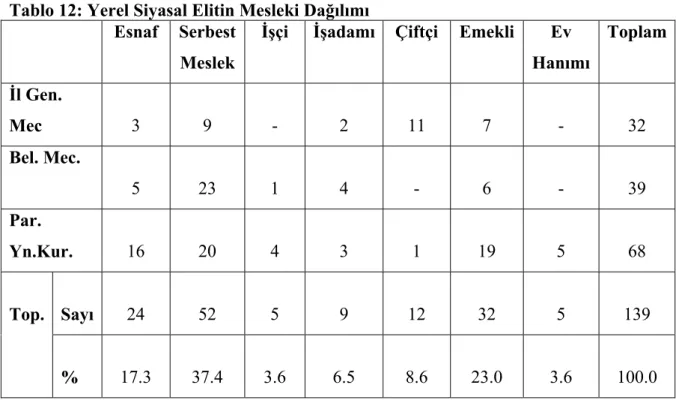 Tablo 12: Yerel Siyasal Elitin Mesleki Dağılımı 