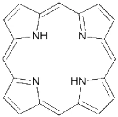 Şekil 1.8. Basit porfirin yapısı 