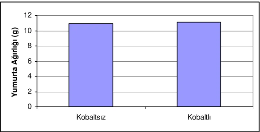 Şekil 4.4. Eksojen kobalt ilave edilen veya edilmeyen rasyonların Japon        bıldırcınlarının yumurta ağırlıkları üzerine etkileri 