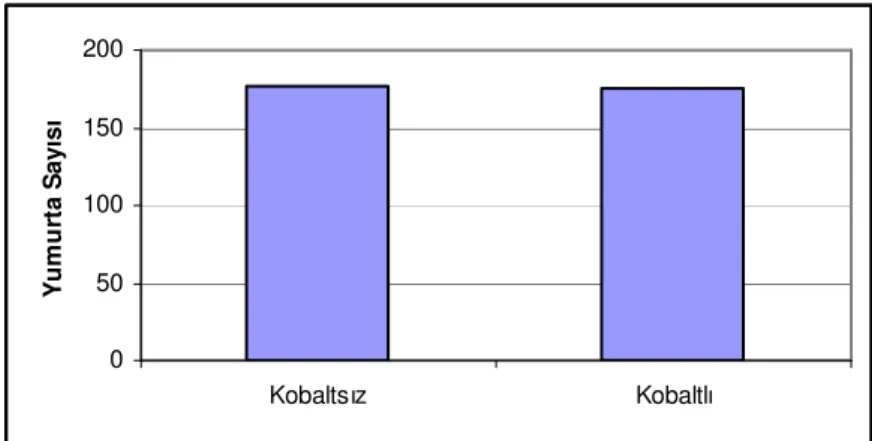 Şekil 4.5. Eksojen kobalt ilave edilen veya edilmeyen rasyonların Japon        bıldırcınlarının yumurta sayısına etkisi 