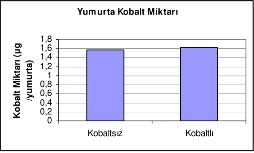 Şekil 4.6. Kobalt ilave edilen veya edilmeyen yumurta kobalt miktarına etkisi  