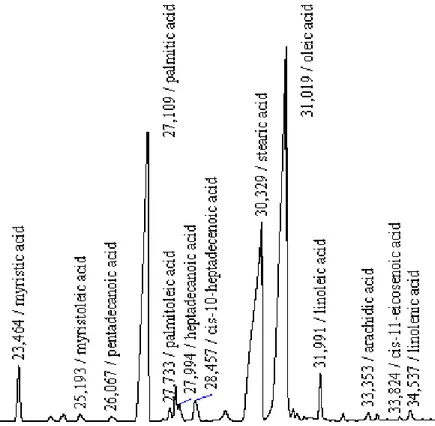 ġekil 4.2. Sığır don yağında bulunan yağ asitlerine ait  pikler  ve  bu  piklere   ait alıkonma sürelerinin  (retention time) gösterildiği kromatogram  