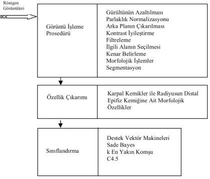 Şekil 4.1. Kemik yaşı tespit sistemi akış diyagramı 