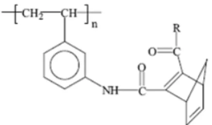 Şekil  2.8.3.  Amit  zincirine  eklenmiş  pendant  norbornadien  gruplarıyla  stiren  polimerleri (Ravve 2006) 