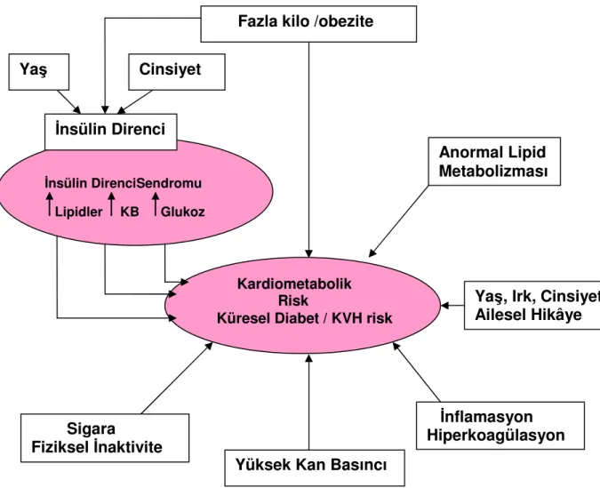 Şekil  1-1.  Global  diabetes  mellitus  ve  kardiyovasküler  hastalık  riskini  öngören faktörler (Kahn 2007 ).