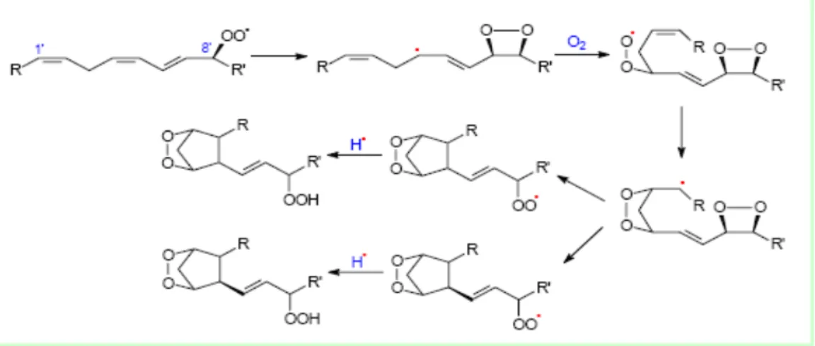 Şekil 1-5: Serbest radikallerin katalizlediği dioxetane mekanziması 