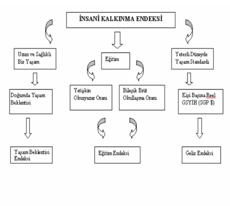 Tablo 7. İnsani Kalkınma Endeksinin Hesaplanması 