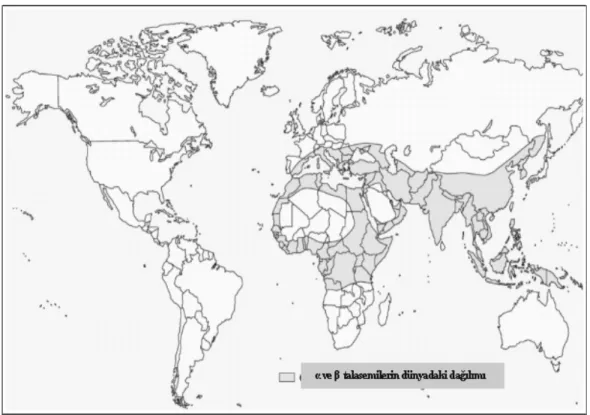 Şekil 1: α ve β talasemilerin dünyadaki dağılımı 