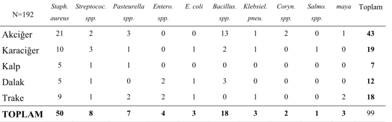 Tablo 4.3 Mikrobiyolojik ekim sonuçları * 