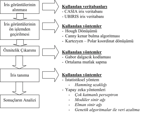 Şekil 1.3 İris tanıma sistemi işlem adımları 