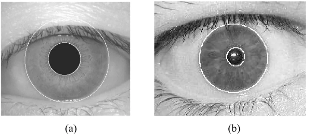 Şekil 5.3 Kenarları tespit edilmiş iris görüntüsü a) CASIA b)UBIRIS 